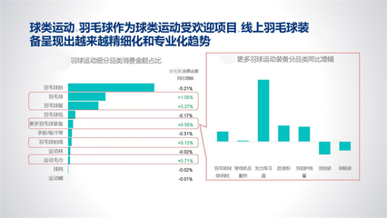 2023年羽毛球館行業(yè)統(tǒng)計(jì)數(shù)據(jù)分析 全民參與度達(dá)35%，運(yùn)動(dòng)項(xiàng)目經(jīng)營(yíng)迎來新機(jī)遇
